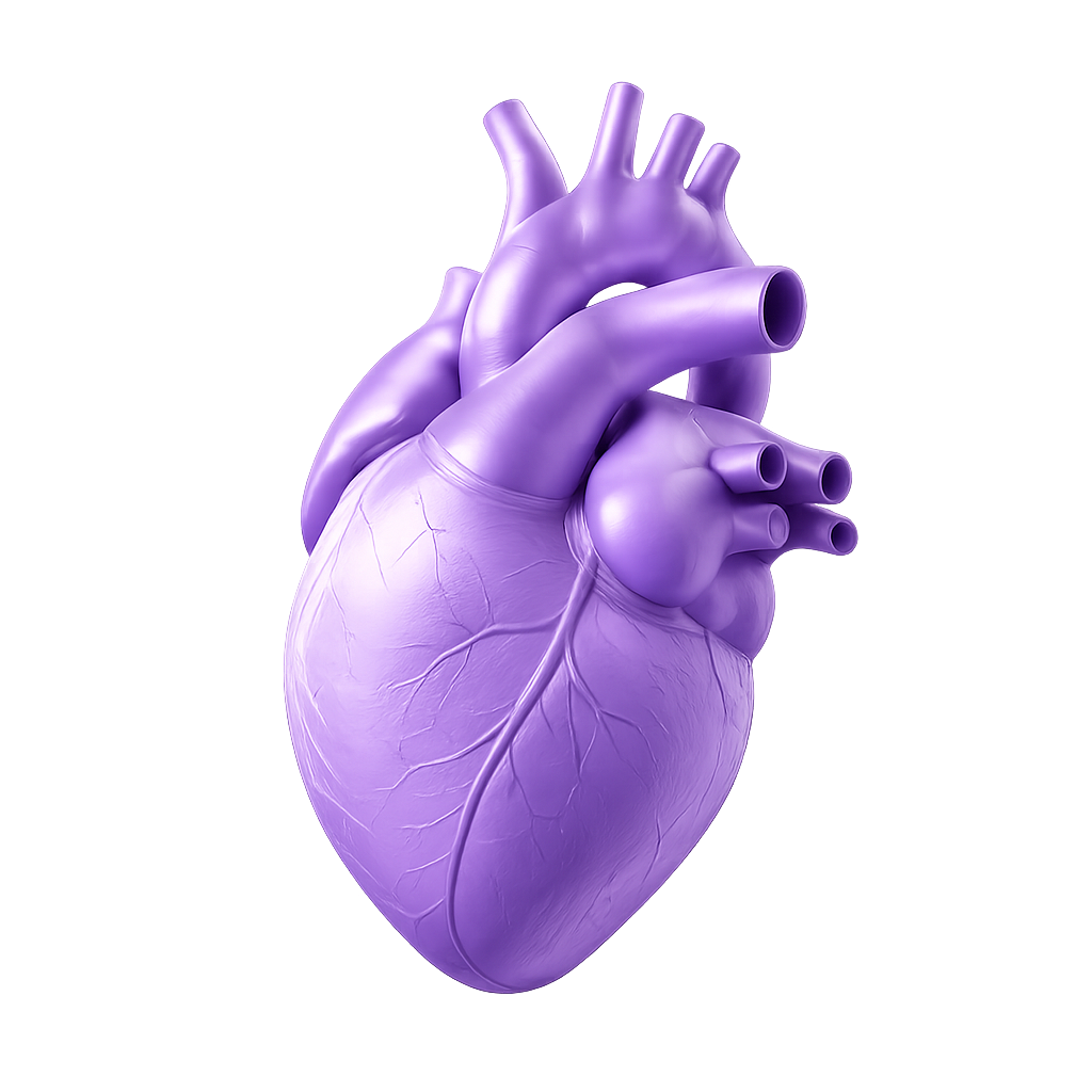Cardiovascular Prevention